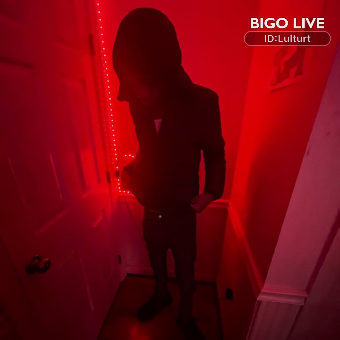 DaRealLadyyy's tweet photo. Come and see 🧸Lulturt streaming live on #BIGOLIVE and make new friends! 
https://t.co/t9p0el9i96 https://t.co/yAN0qTuNSj