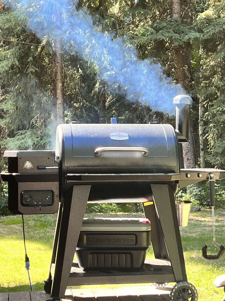 If you don’t smoke your meats, do you even have taste buds? #PitBoss