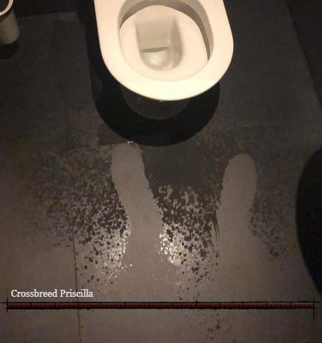 darksoulstoilet's tweet photo. this one not everyone will understand 

darksoulstoilet remastered https://t.co/XKxg81ZdeM