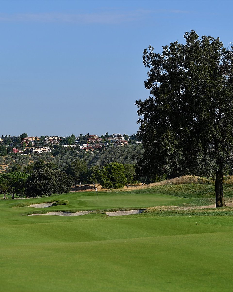 Ryder Cup USA tweet media