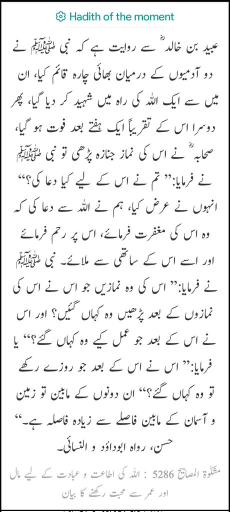 Assalam u Alaikum wr wb