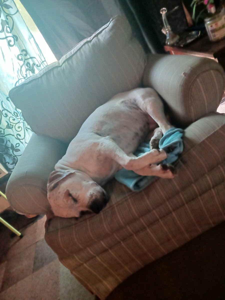 BrandySherbert tweet picture