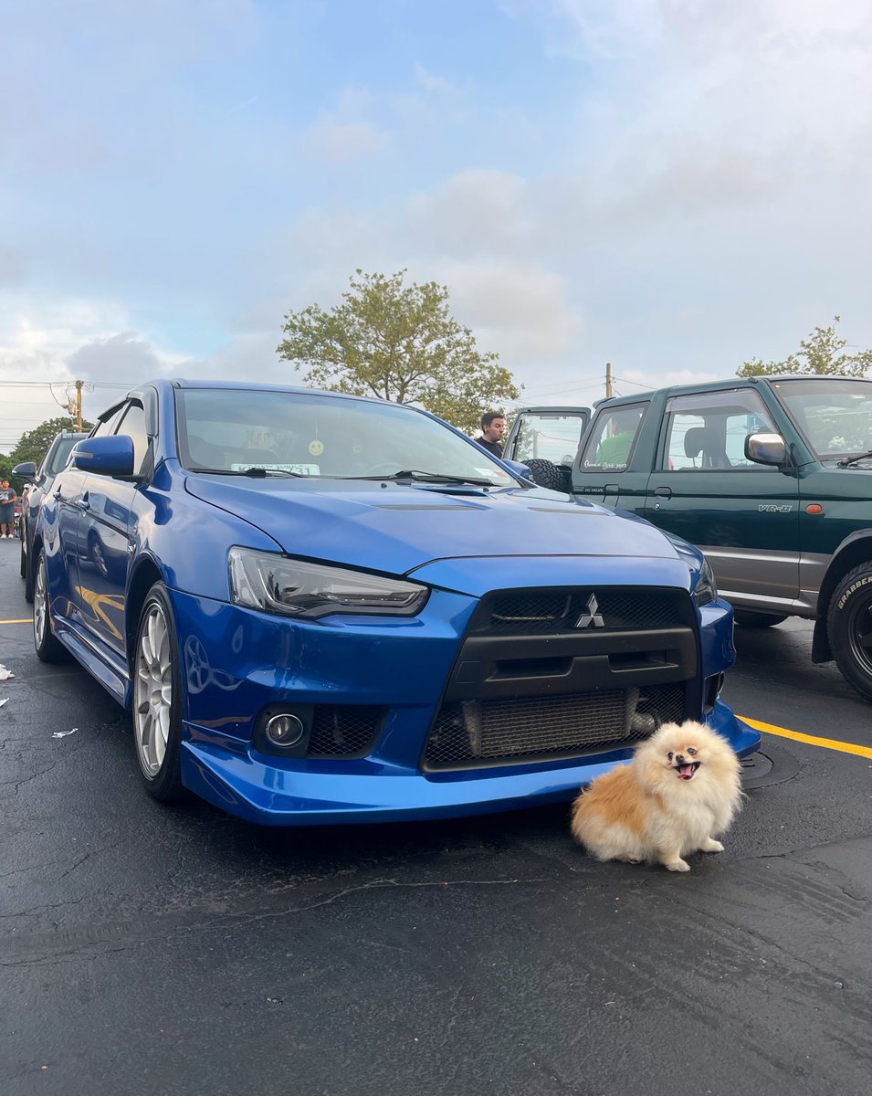 EvoXKayyy's tweet photo. But at least a lil dog posed with my car https://t.co/QclpxOFyDc