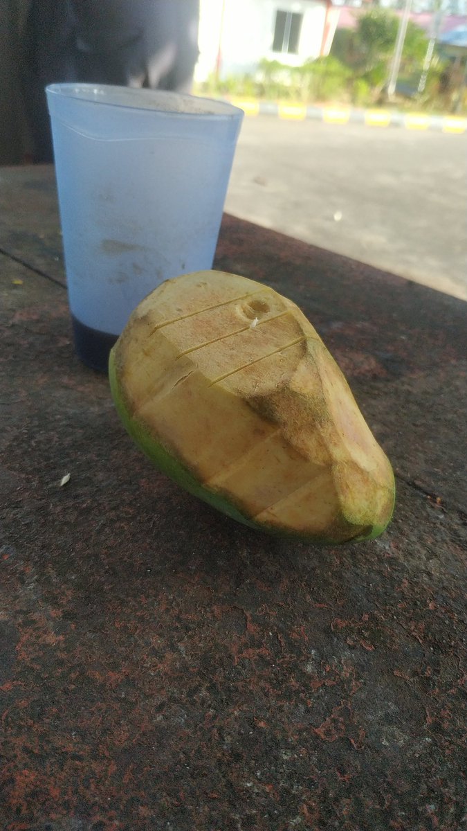 Pagi pagi sudah ada mangga yang ternoda 😅
Selamat pagi ajah