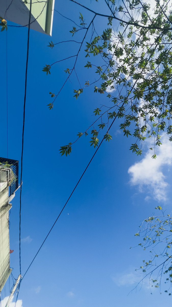 Alhamdulillah pagi ini Bali ceraah, langit biruuu 🫶🏼