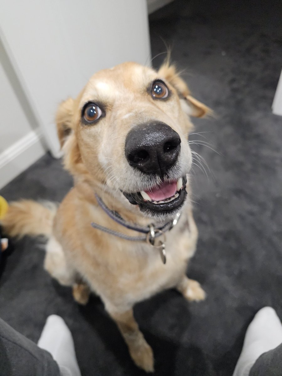 Wish Sanka Happy Birthday right now 😤