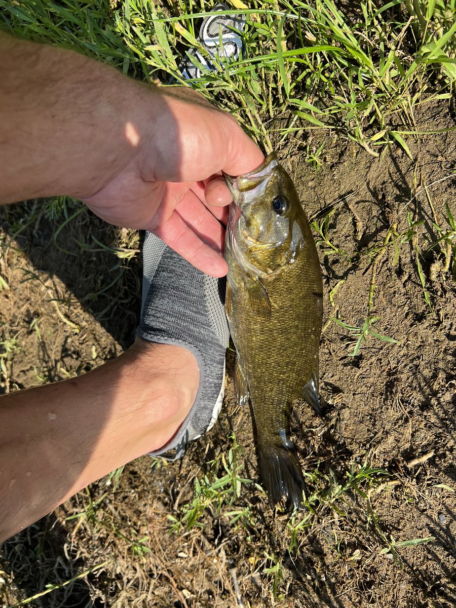 JamesAncion's tweet photo. #BWWS #fishinglife #feet_pic #feet_lover #feetfethish #FeetPictures https://t.co/LpR8nzN5cK