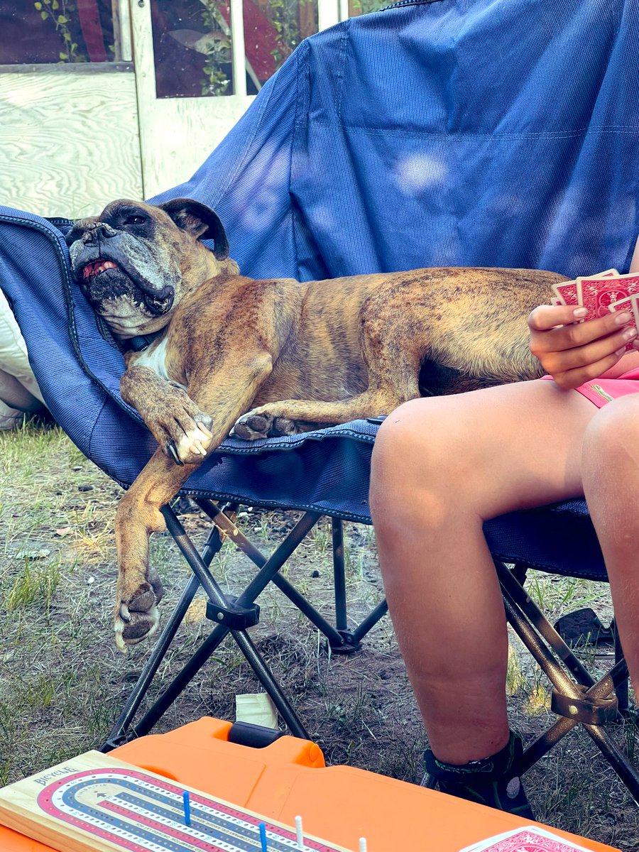 He’s not dead. That’s just how he sleeps. #boxerlover #lakelife