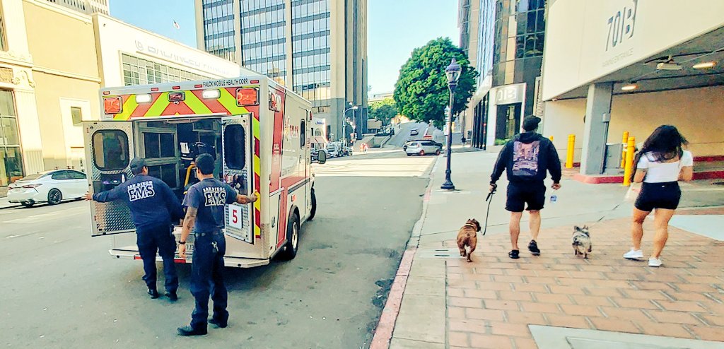 W_W_B_P's tweet photo. 📢#AnotherSoundingOffMoment 
🚨#BreakingNewsReport
Here @W_W_B_P 🪖🌎 📕 🚧 
While @Elijah_Jew_Boy ✡️ was on break downstairs/ outside near the dumpsters of the side entrance of building of #Expansive-GasLamp; the collision occurred 
🔗https://t.co/48T3ZXl8r8 
#NotJustQuacking 🦆 https://t.co/bvVRMvCjZY