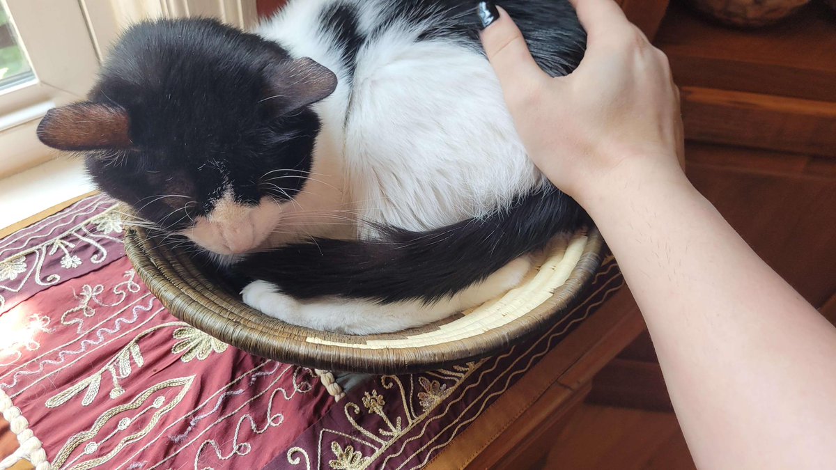 DoubleD_DoubleD 🏳️‍⚧️ tweet media