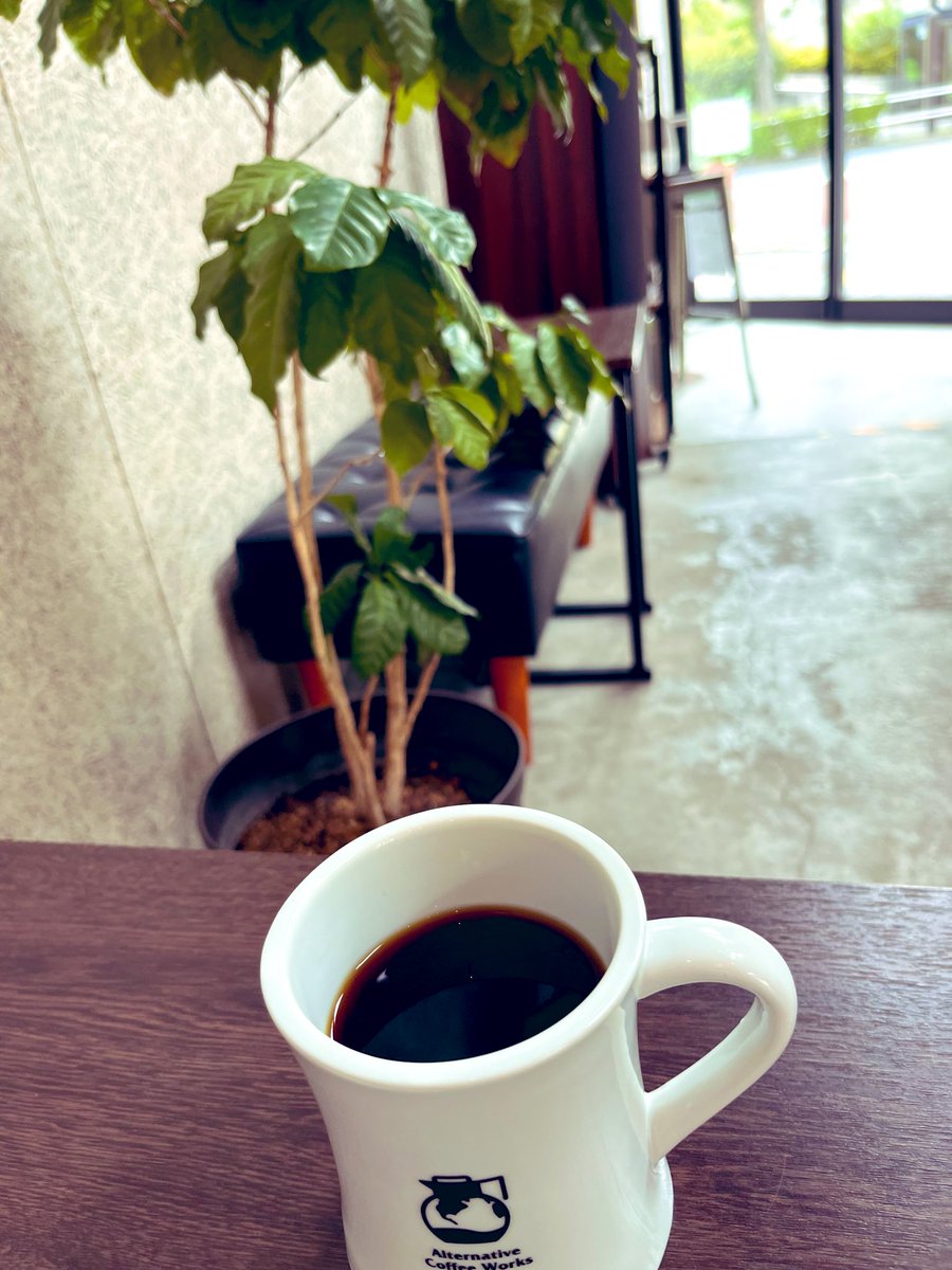 anelahono's tweet photo. 思いがけずゲットの
ほっこりひとり時間☕️
オーダーしたエチオピア🇪🇹
おいしい!
素敵な日曜日を〜💕
#AlternativeCoffeeWorks
#SundayMorning https://t.co/l9jWrTDdJN