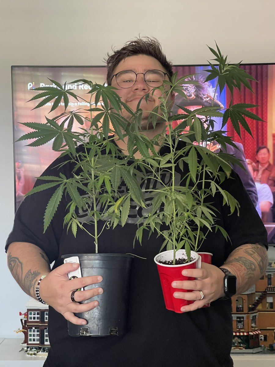 PlantDaddyShawn's tweet photo. Got some new babies today. They call me plant daddy for a reason. https://t.co/wAbxTSIx3h