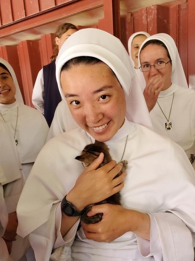 Dominican Sisters of Mary, Mother of the Eucharist @SistersofMaryOP in Ann Arbor Michigan holding kittens. Photos from the Sisters' Twitter at twitter.com/SistersofMaryO…. Extra pictures to celebrate the 3rd anniversary of this account!