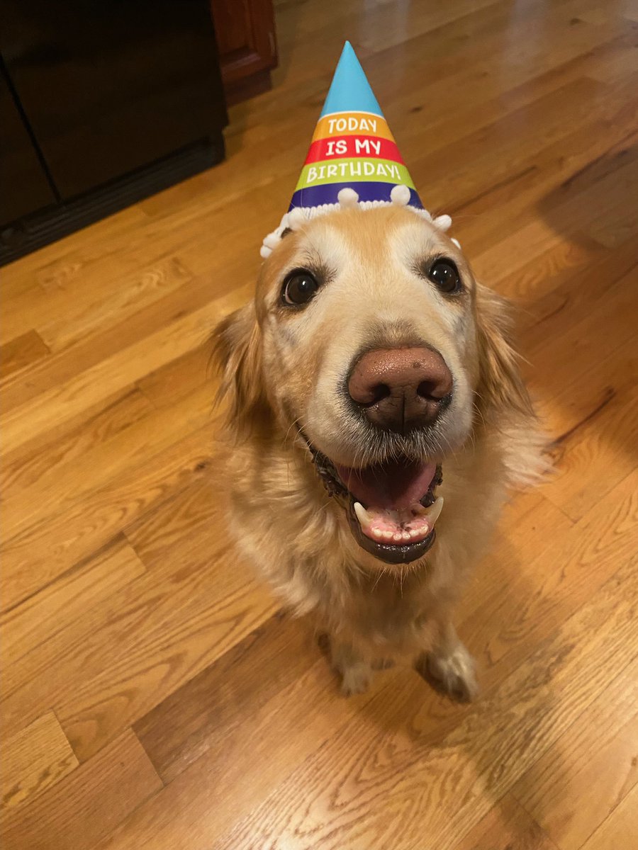 TheRealDerv's tweet photo. @WholesomeMeme It’s so funny this got posted on her birthday. Thanks for the tag 😊 https://t.co/uNzbpVdElc
