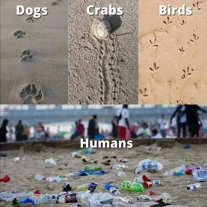 AmazingNature00's tweet image. Please behave like Animals