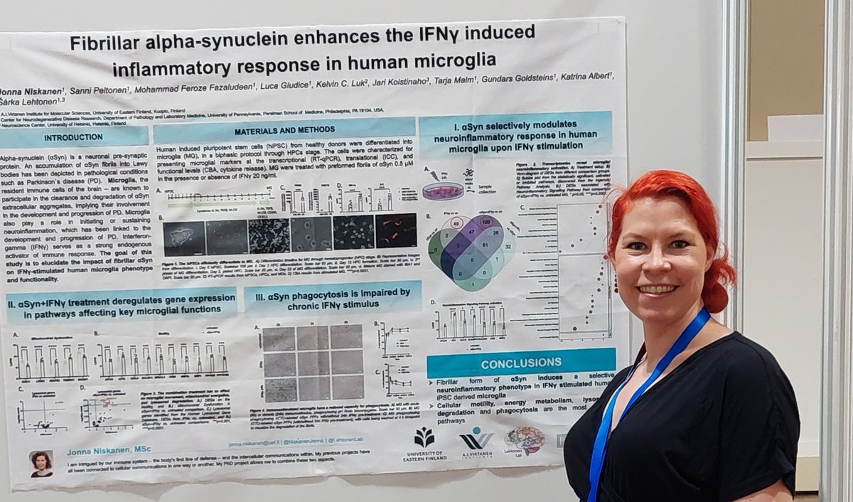 Attending Glia meeting in Berlin? Want to talk about microglia and alpha-synuclein? Come and see me at my poster today from 15 onwards, T16-088B or #619. #glia2023 #microglia #alphasynuclein #iPSC @Leht