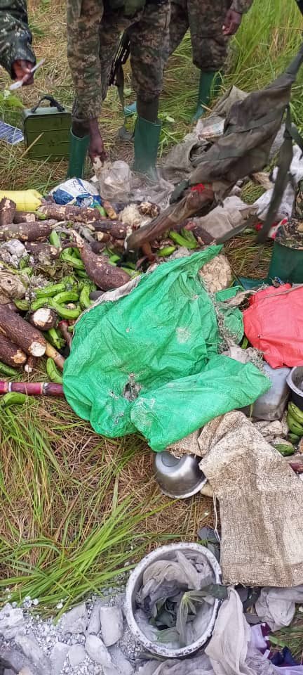 AlKatanty's tweet photo. Track #ADF : 3 terroristes ont été neutralisés ds 1 embuscade cette nuit ds la vallée de Mwalika. 2 armes et des récoltes volés des champs de citoyens récupérés.
Les patrouilles des @FARDC_off et @updf_ continuent en profondeur de cette région.
Sources militaires https://t.co/CKcnDtPQXP