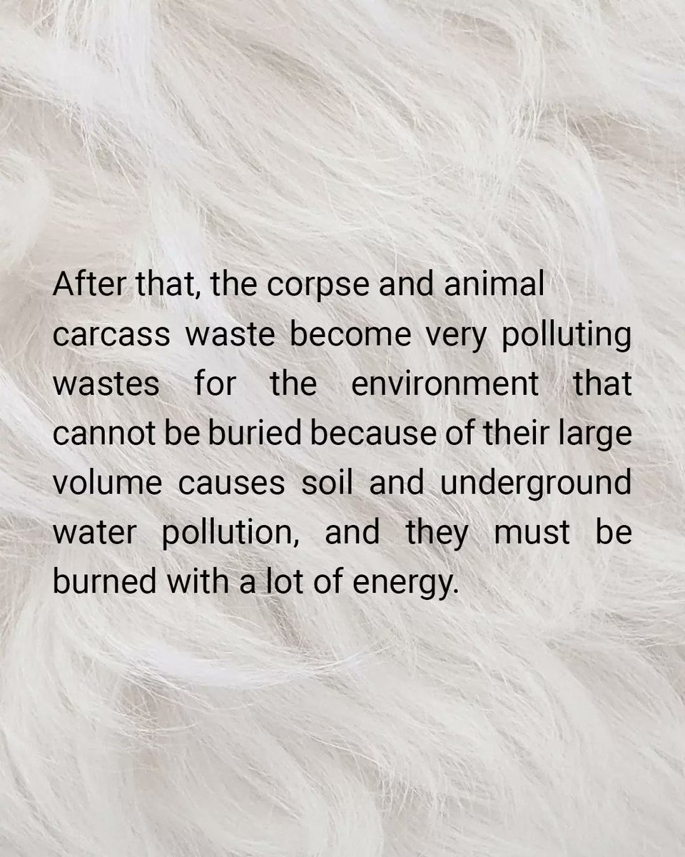 ZENunison's tweet photo. We all know that the skin and hair of animals on their bodies are beautiful.
What do you think about killing animals just to produce leather products?
Please write your opinion....
#zenunison
#fashion
#leatherfashion
#leather
#animallover
#fashion_for_everyone
#greenfashion https://t.co/iQzY8vMjLS