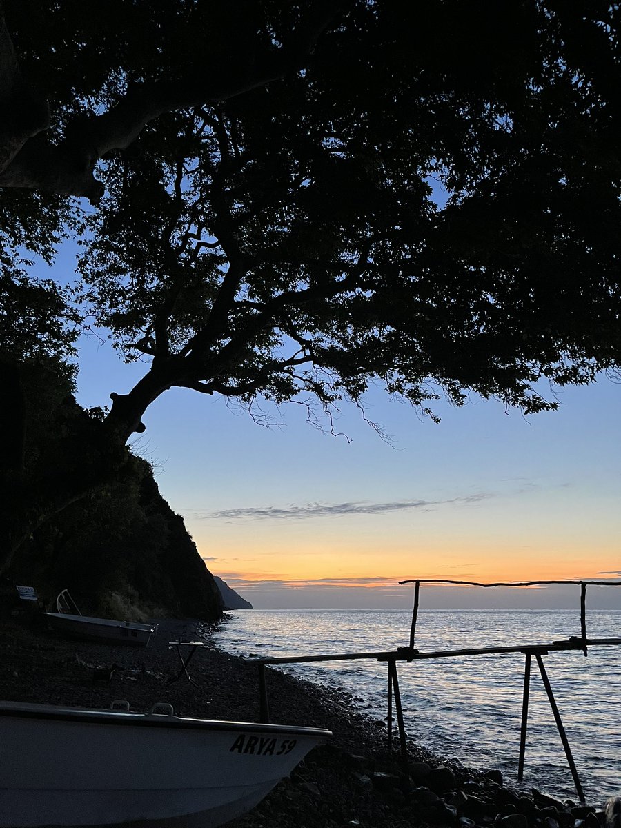 Meriç (@mericdo) on Twitter photo 