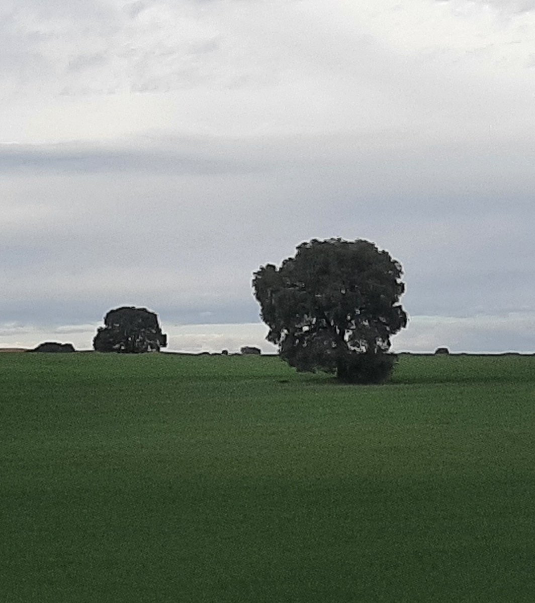 Jesús Fernández Horc (@jesusfhorc) on Twitter photo 