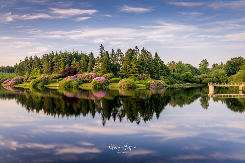 Gary Holpin | Photography tweet media