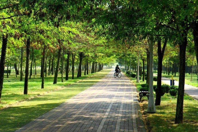 Londra'nın %38'i halka açık yeşil alandan oluşmaktadır. Bu oran; Singapur'da %47, Sidney'de 46, Berlin'de %14.4, New York'ta %14. İstanbul'da ise sadece %1.5'tir.