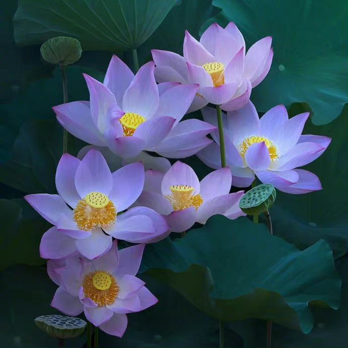 Join (@join8839) on Twitter photo 