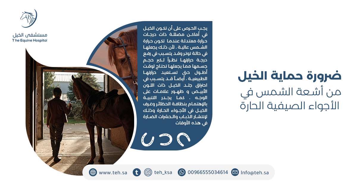 #مستشفى_الخيل_بالرياض