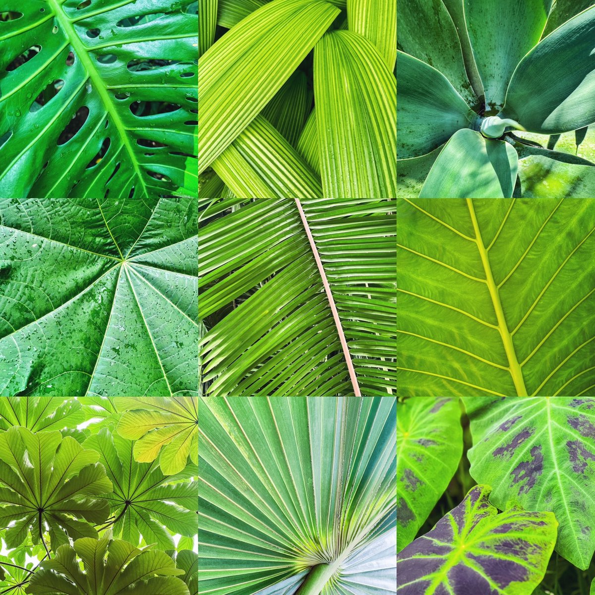 Productive vaca day before I head home ☺️

🍃🌿🌱🚶🏻📷