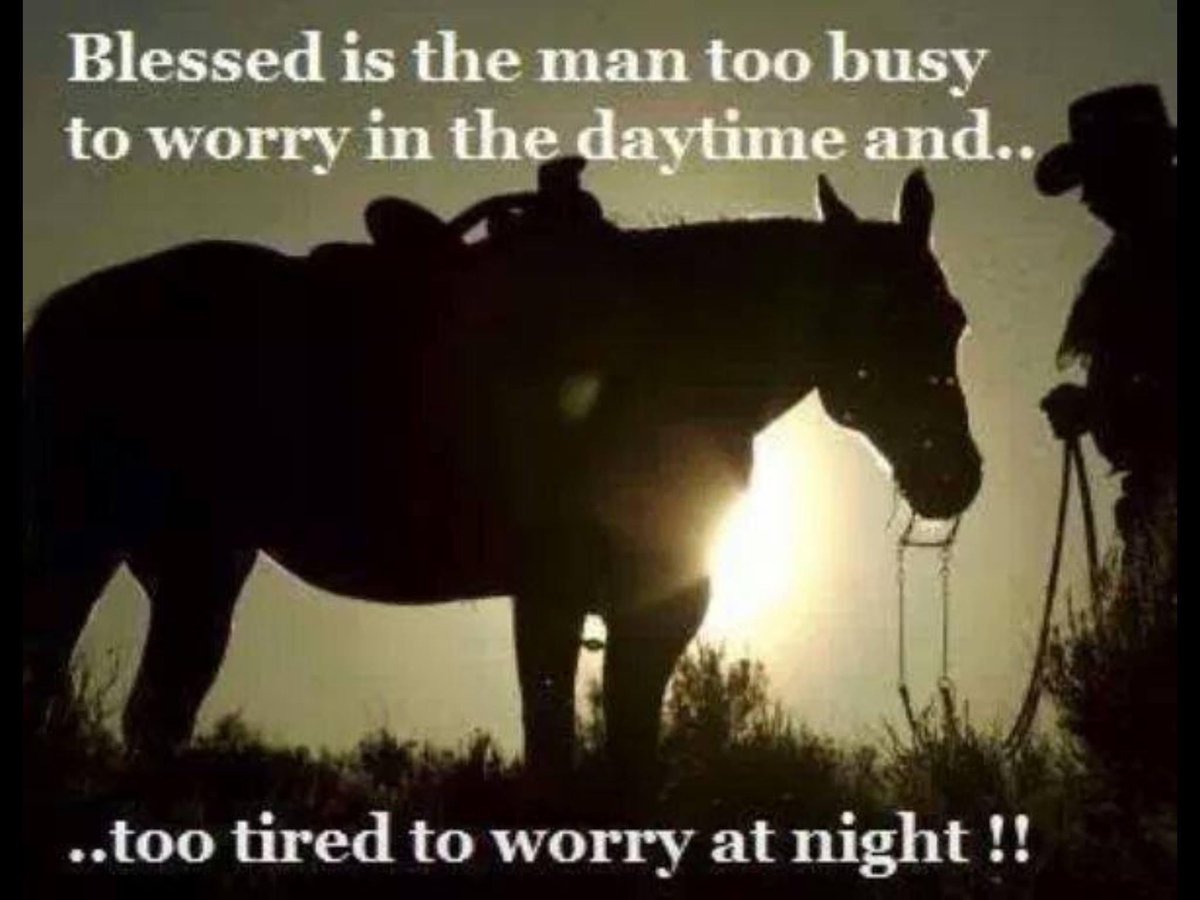 Bradford Forkner tweet media