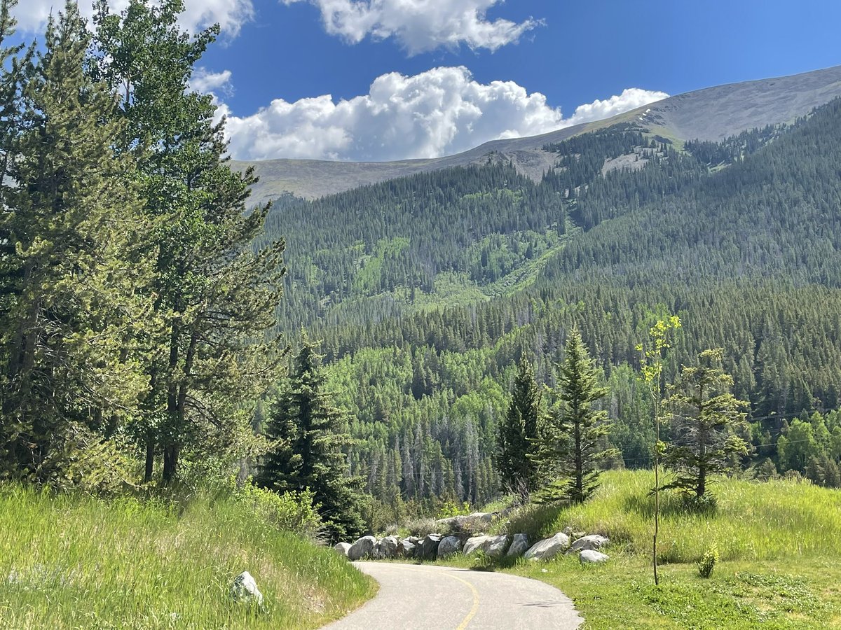 Audra Iness, MD, PhD tweet media