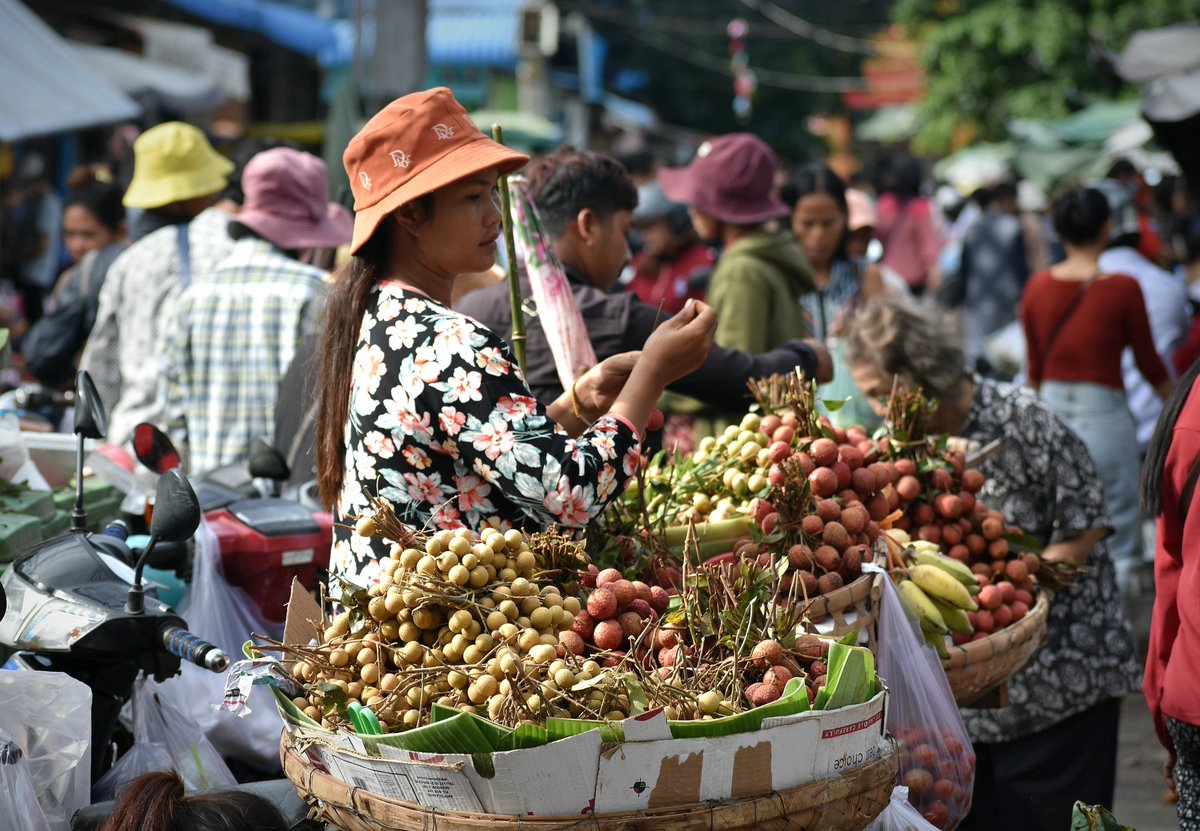 Psar Kandal morning market
Lychee season
#phnompenh #asianmarket #fruit
#lychee