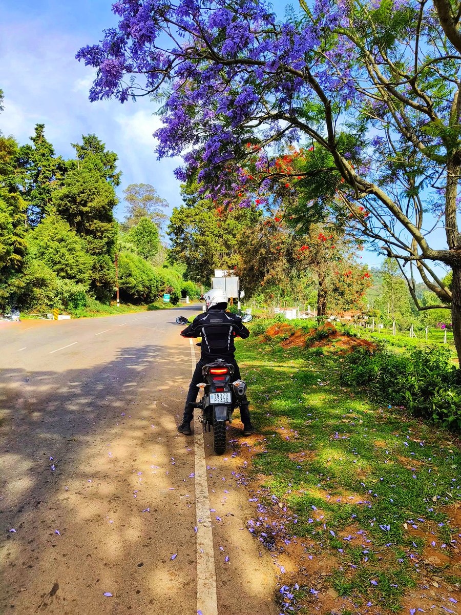 rolexpulse's tweet photo. Nature, time, and patience are the three great physicians 🏍️🛣️

#rolexpulse
#coimbatoretourism #coimbatore #motorcyclelove #openroadadventures #bikerlife #masinagudi #masinagudiforest #mudhumalai #ooty #trending #trendingreels #viral #ViralVideos https://t.co/1U8iZwghl0