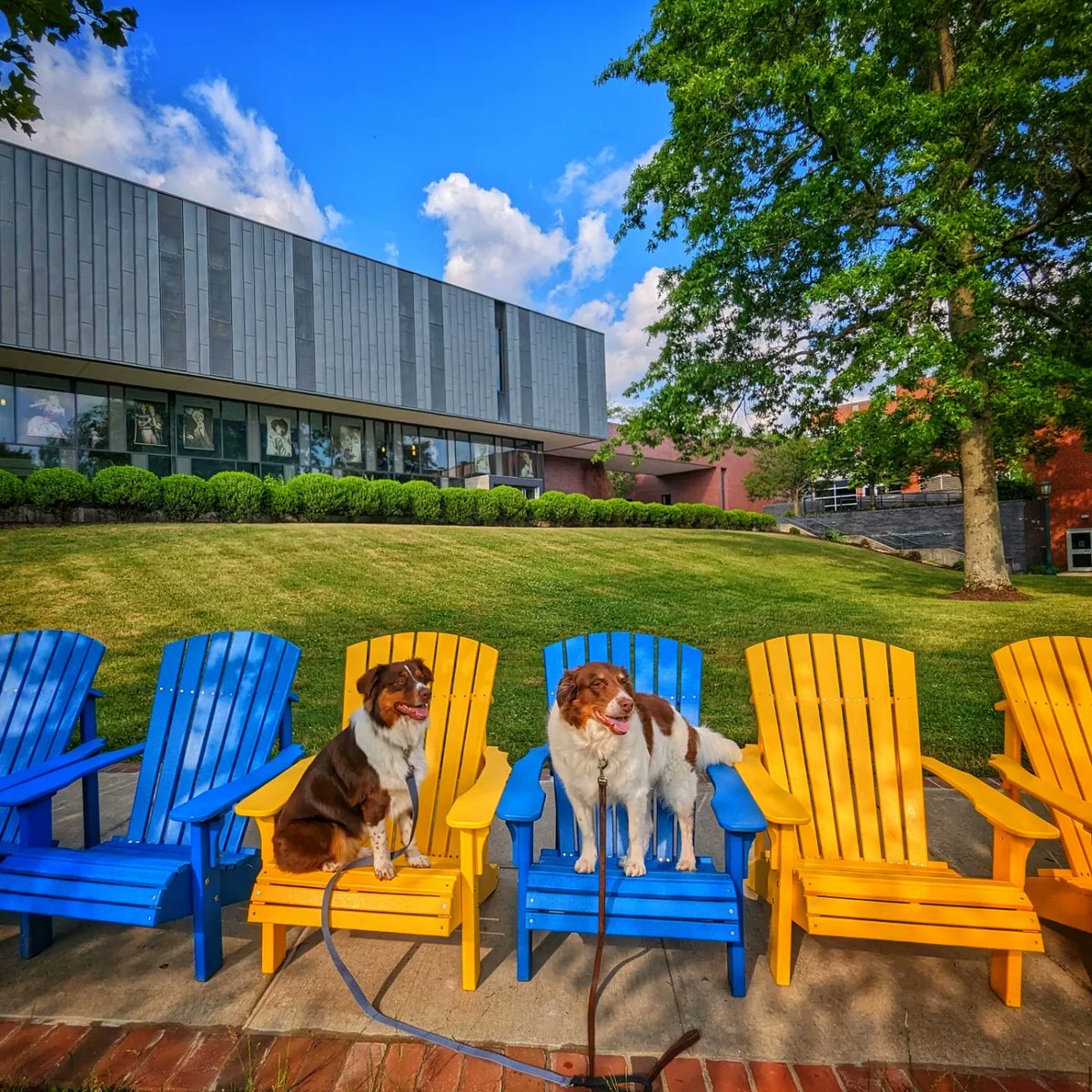 Allegheny College tweet media