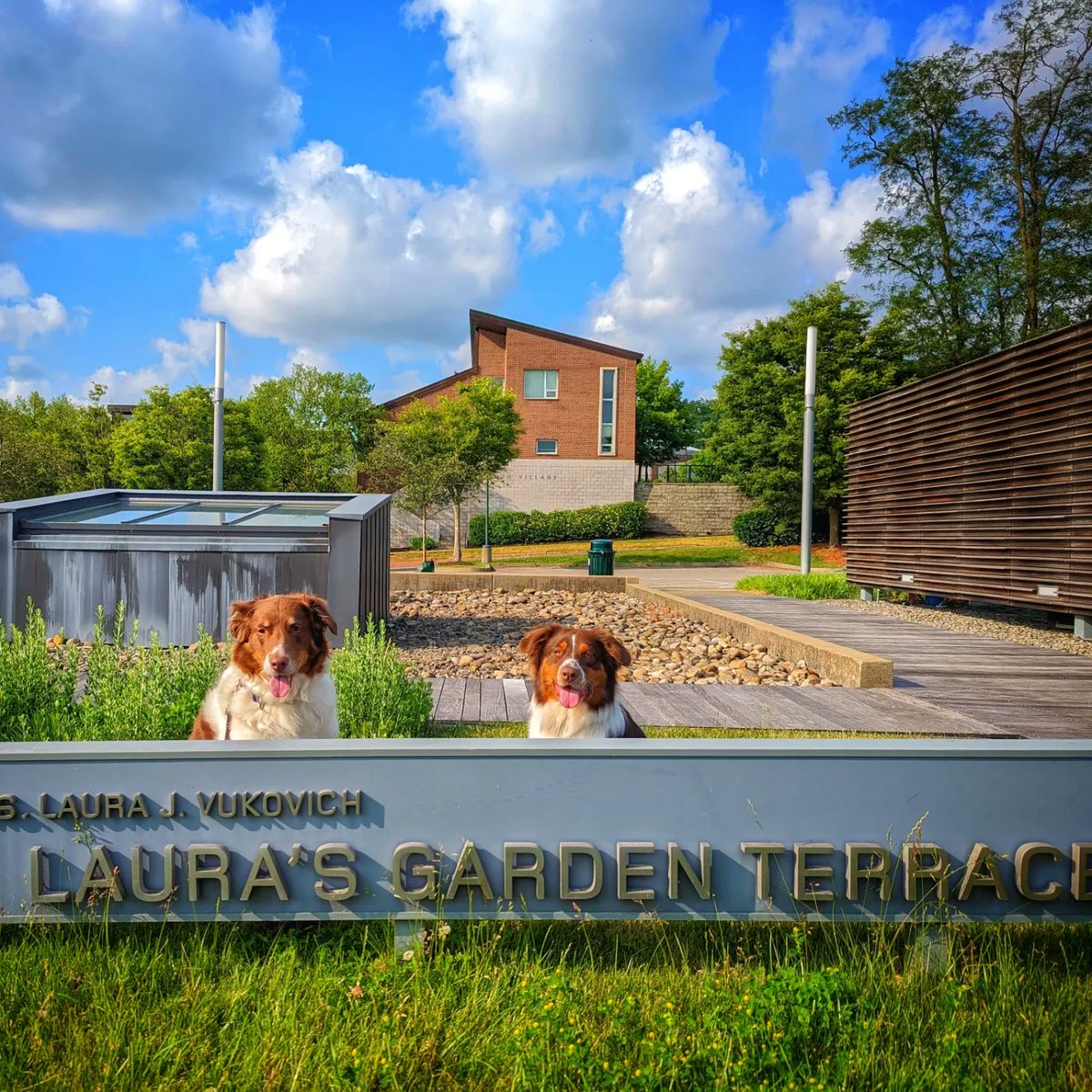 Allegheny College tweet media