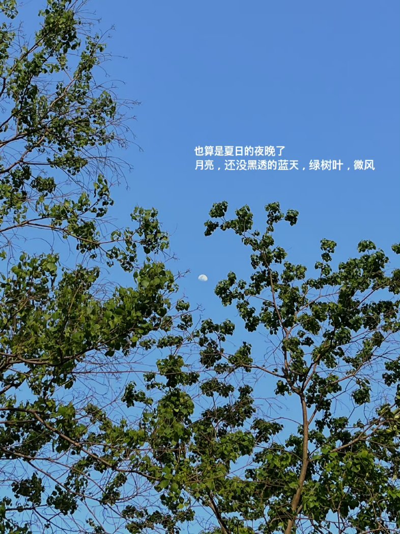 我不知道顺其自然有多自然 
但我只知道现实有多现实