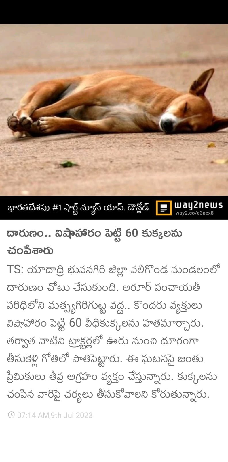 Information about dog in telugu 2025