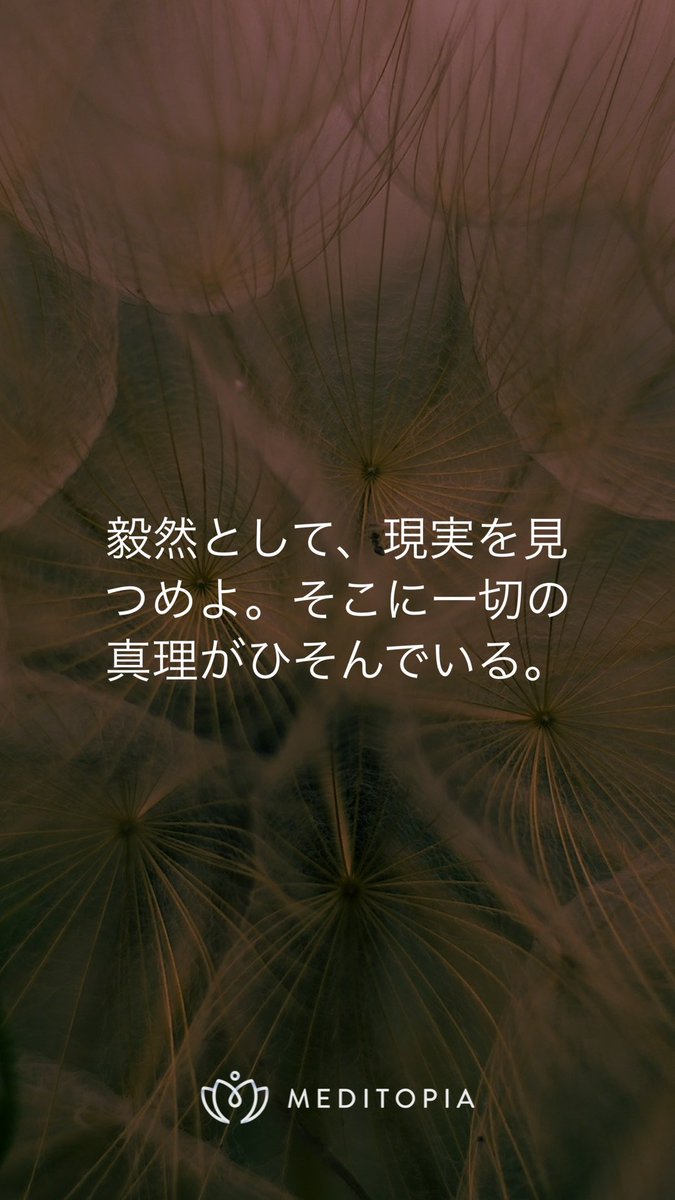 とーふ (@tofx_blog) on Twitter photo 