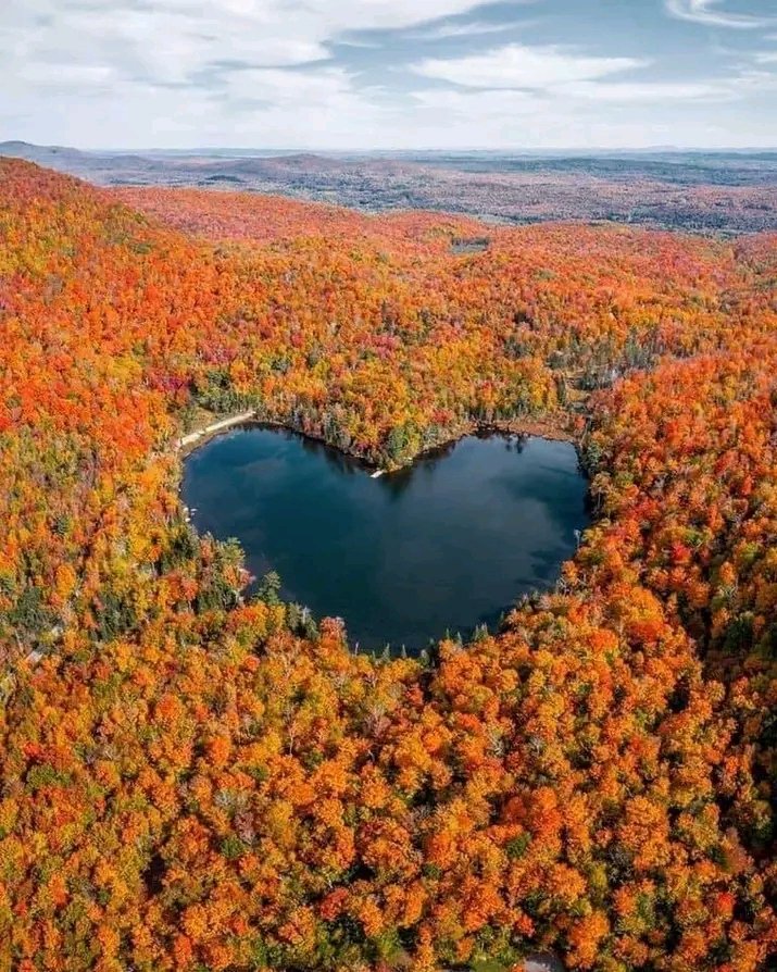 Love's the most special in my heart