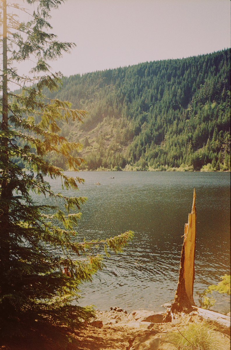 JoseePearlson's tweet photo. Summer vibes on 35mm film https://t.co/tTLb9R2uEe