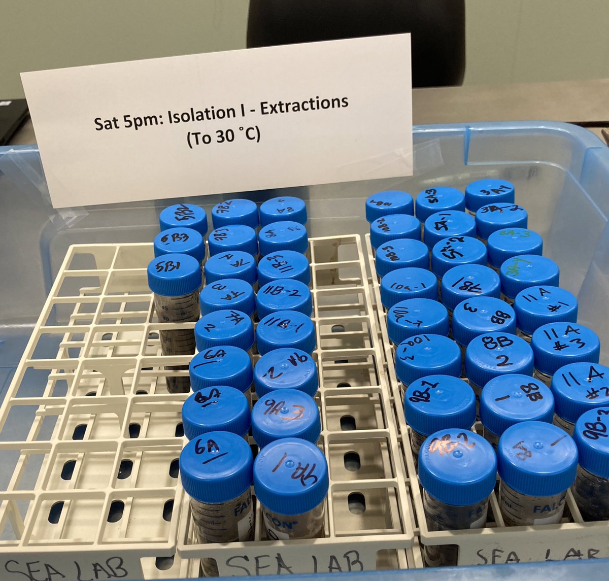 Soil samples collected by participants at the Phage Discovery Workshop! Will we discover phages targeting Microbacterium foliorum? Stay tuned! #SEAPHAGES @HHMINEWS <a href="/UMBC/">UMBC</a>