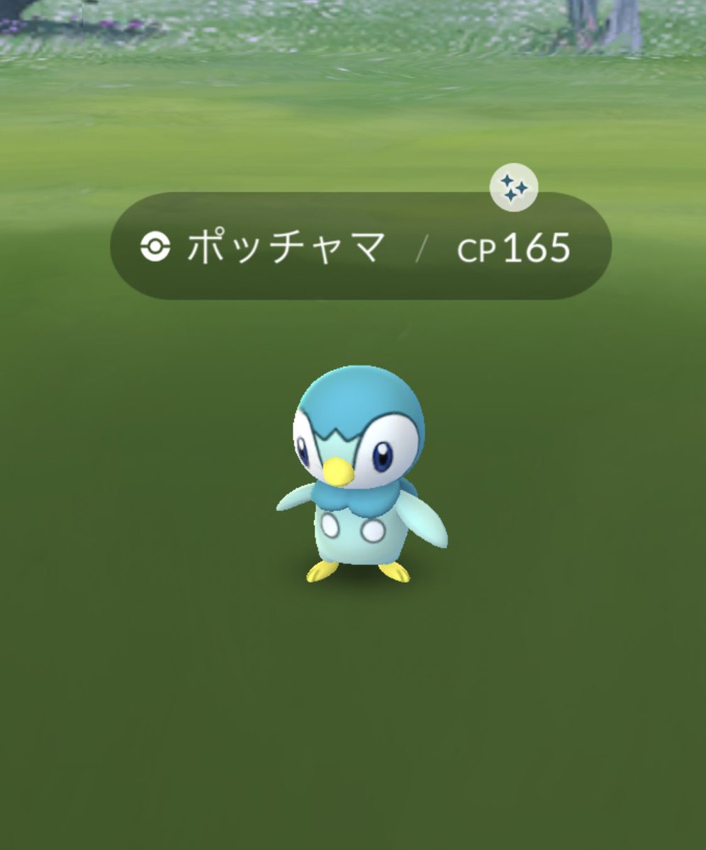 baraSKewda456's tweet photo. ゼニガメ前祝い来た！
#色違いポケモン 
#ポケモンGO7周年 
#ポケモンGO https://t.co/9KkRQYIto0
