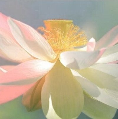 ccgalletitas's tweet image. ⠀݃⠀ ✣ ⠀۪⠀ hilo de BIOS + icons (2 personas) para compartir⠀ ✣ ⠀۪

— by ; ⭐⠀