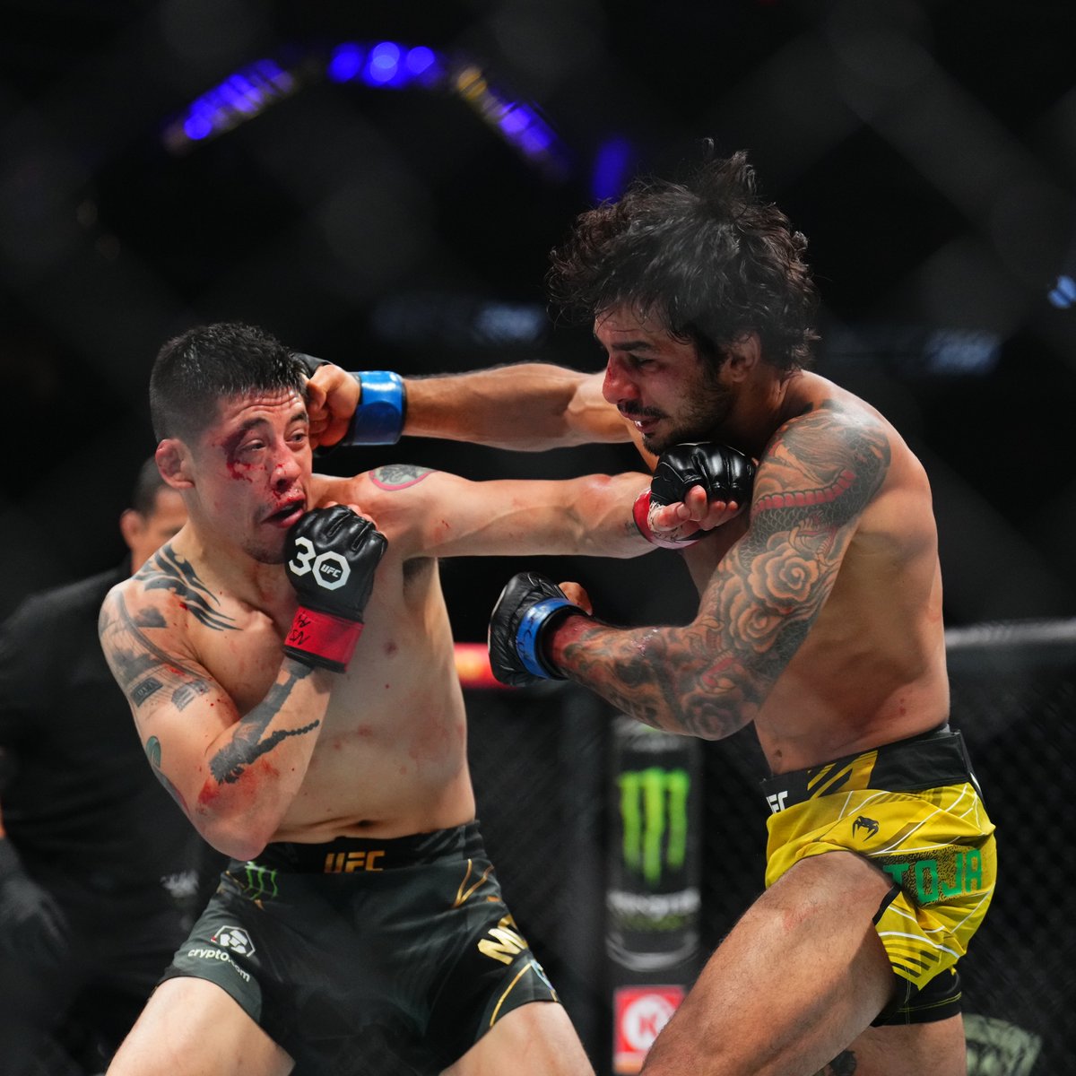 ufc's tweet photo. What a fight! It's off to championship rounds! 

Who's winning on your scorecards?? #UFC290 https://t.co/ui3STjQW31