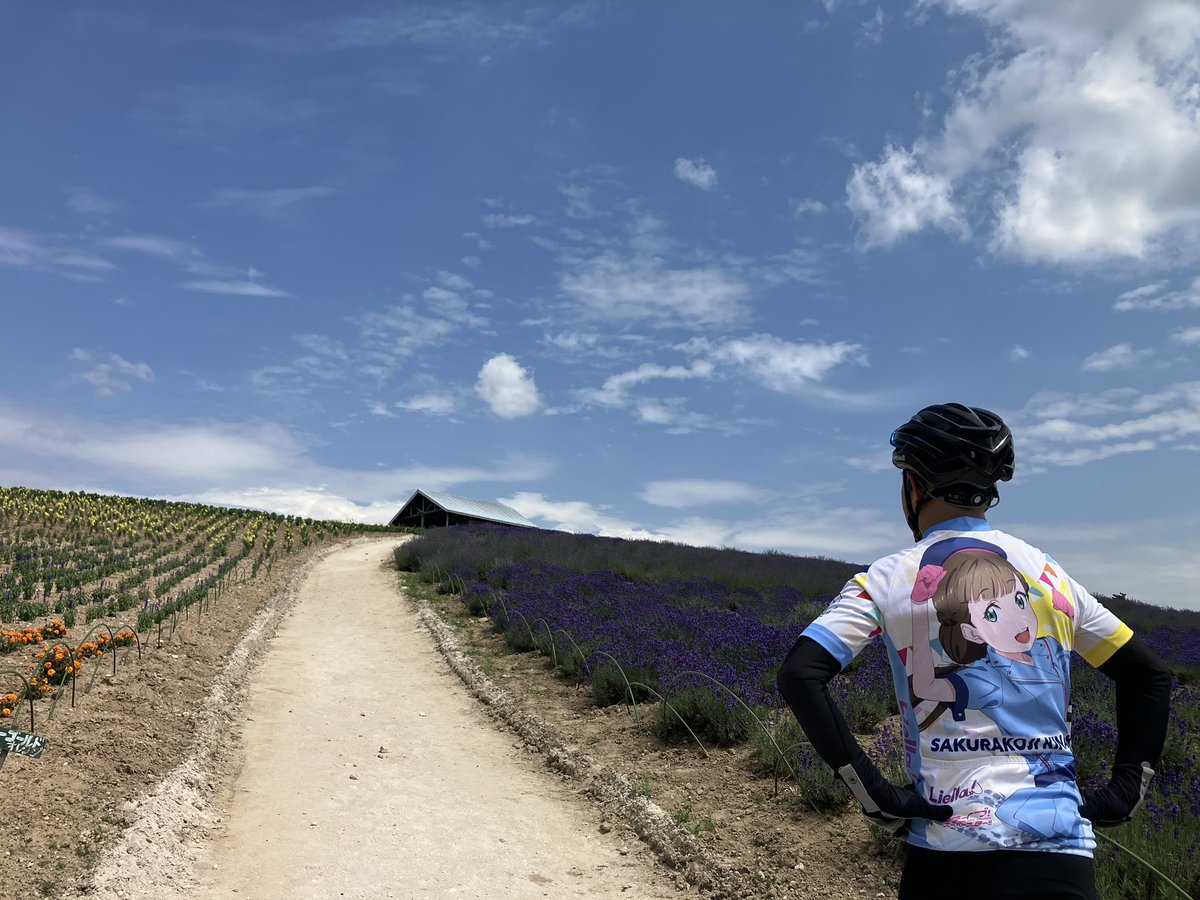 ョゥ𝕏チャリ tweet media