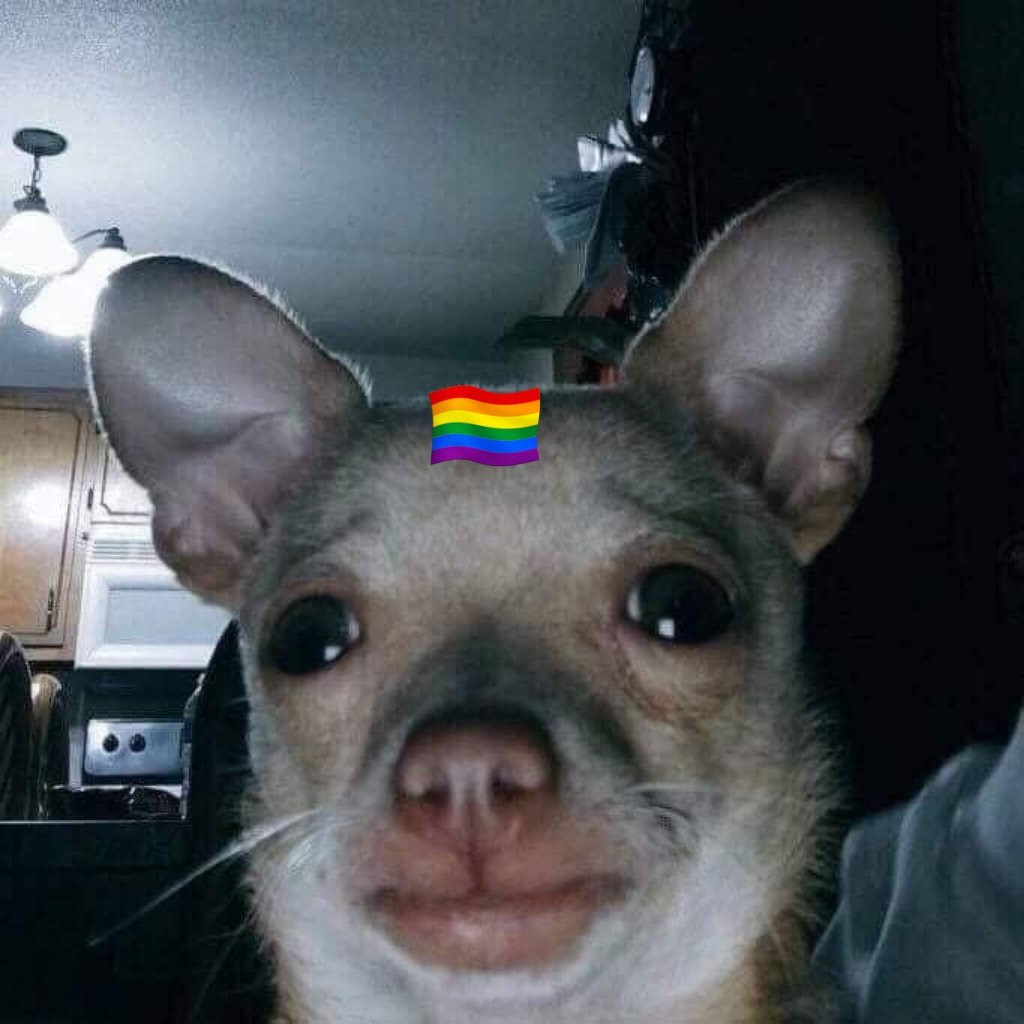 anime_ot1's tweet photo. GENTE GENTEEEEE
Después de 2 años y recién me doy cuenta del doble sentido en Gone, cuando Rosé dice "Esto es demasiado oscuro para ser un arcoiris" https://t.co/pbxEhKNcy0