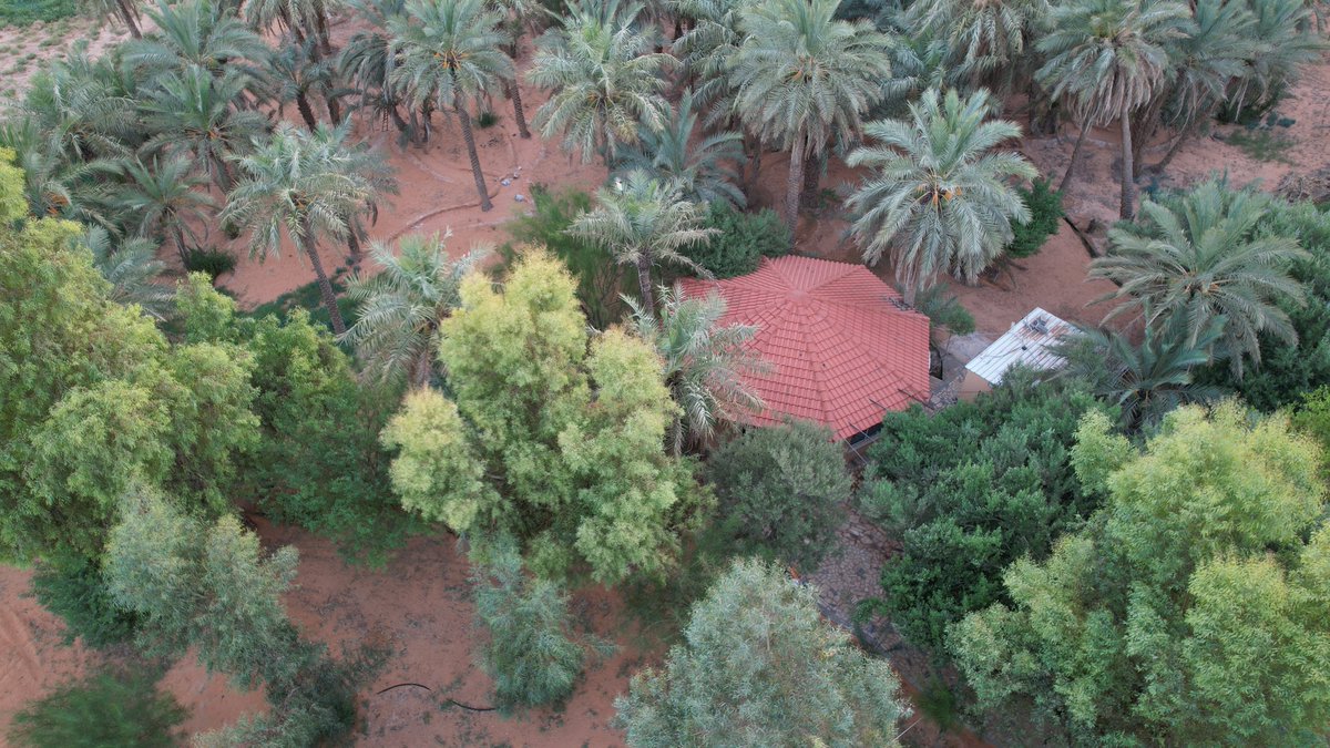 agarzulfi's tweet photo. واحة وسط كثبان نفود الثويرات شمال محافظة #الزلفي في المملكة العربية السعودية
يطلق عليها (عقلة منسية) يوجد بها منتجع ريفي متاح للإيجار
مكون من مجلس ومسبح ومطبخ ودكة ودورات
هذا موقعه على خرائط قوقل ماب
منتجع منسية الريفي
0564122004
https://t.co/0LsqFMLyCf
#منتجع #مزرعة #سياحة https://t.co/Qwc1744mxX