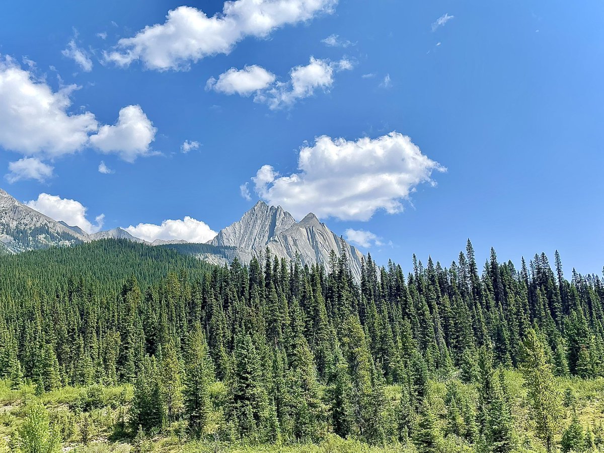 2crit2quit's tweet image. I’m legit blown away by the support (again) and trust me there are more blink sets on the way ~ if you want something that sold just let me know and I’ll remake em for next time ~ here were my views for today as a tiny gift to myself ~ thanks again!🙏🏼🪞✨
#dicemaker #naturecheck