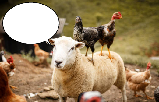 CropBytes 🚜 ⚔️ tweet media