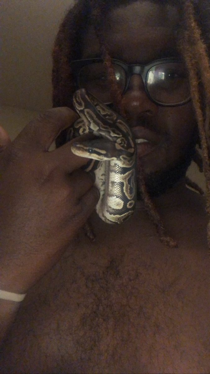 ThatDemonpanda's tweet image. Back when BlackOut was just a baby❣️ Daddy loves you!
#BlackPastelBallPython #Ballpython
Here’s a link for you guys to check out: amzn.to/45fS9UZ